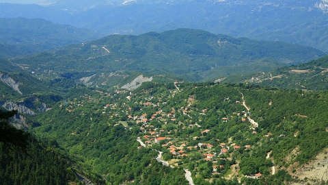 ΚΥΨΕΛΗ