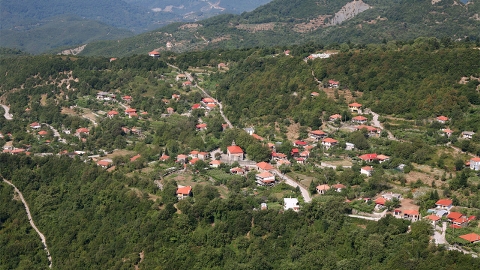 ΚΥΨΕΛΗ