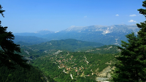ΚΥΨΕΛΗ